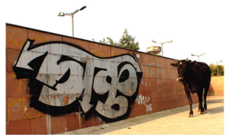 TrendMantra article29_3 Graph of Graffiti in India 