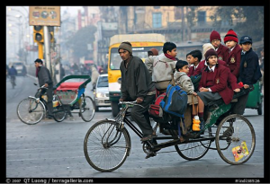 TrendMantra article65_2-300x205 Cycle Rickshaw-A Slow And Painful Demise 