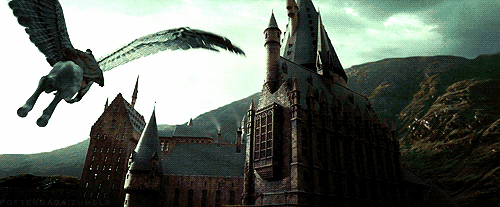 TrendMantra article88_8 12 Reasons You Should NEVER Watch Harry Potter 
