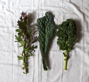 TrendMantra article129_2-300x278 Why is "Kale" Considered One Of World's Healthiest Foods 