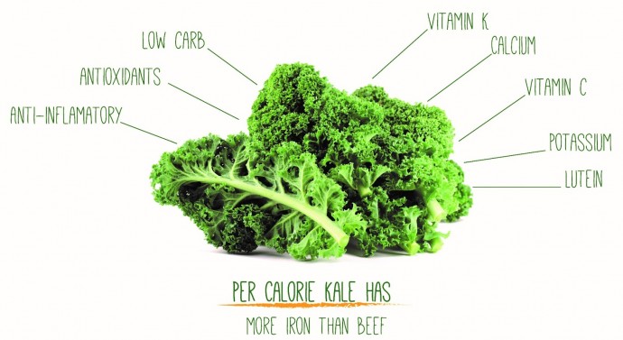 TrendMantra article129_6-690x377 Why is "Kale" Considered One Of World's Healthiest Foods 
