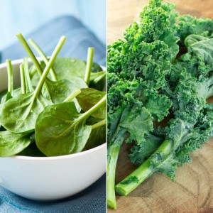 TrendMantra article129_9-300x300 Why is "Kale" Considered One Of World's Healthiest Foods 