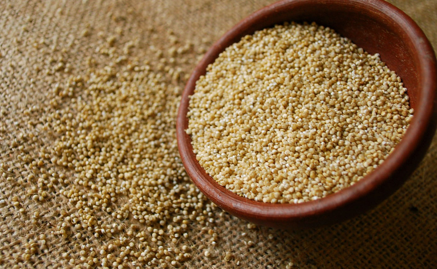 Quinoa Hindi Name in India