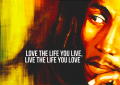 TrendMantra Article197_1-120x85 Bob Marley - A Tribute 
