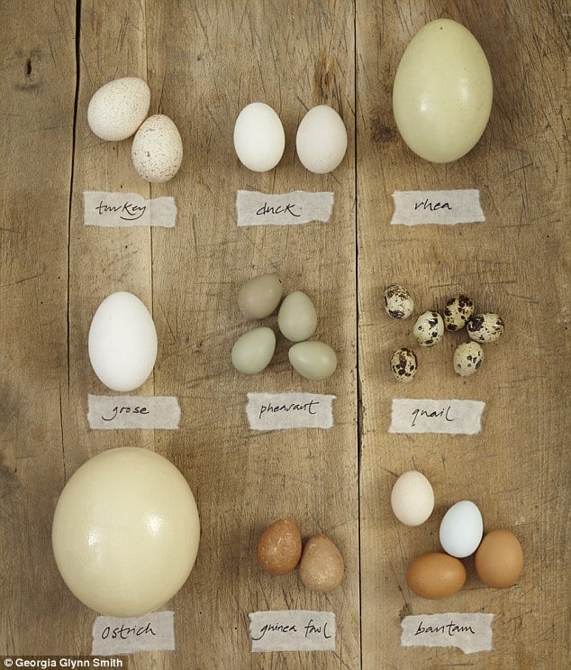 TrendMantra article221_4 12 Egg-citing Ways To Enjoy Eggs For Egg Lovers 