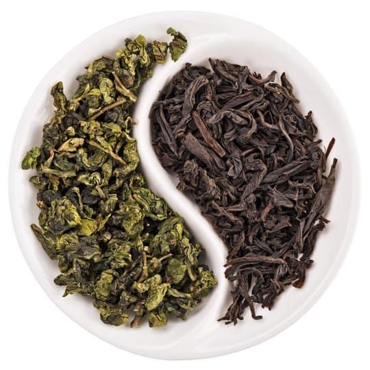 TrendMantra article_287_2 Is Green Tea Really Better Than Black Tea? Read To Find Out 