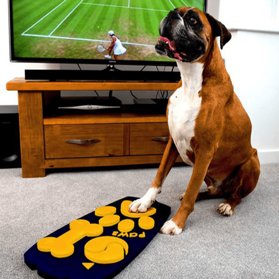 TrendMantra article326_2 TV Remote For Dogs Has A "Paws" Button!!...
