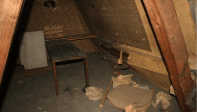 TrendMantra article_449_4-388x220 Norwegian Students Uncover Secret Room In Their House That Was Hidden For 70 Years  