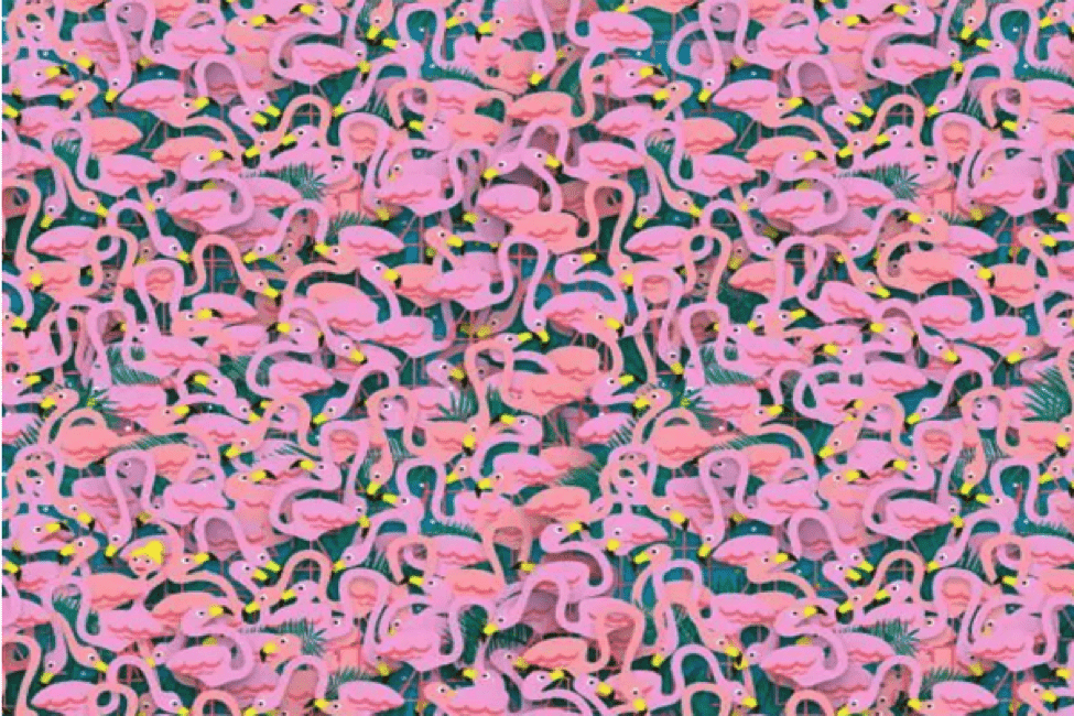 TrendMantra article_469_1 Can You Spot The Dancing Ballerina Amongst The Flamingos? 99% Can't. Click Here To Find Out. 