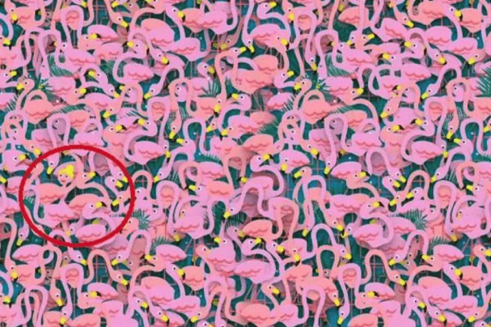 TrendMantra article_469_2 Can You Spot The Dancing Ballerina Amongst The Flamingos? 99% Can't. Click Here To Find Out. 