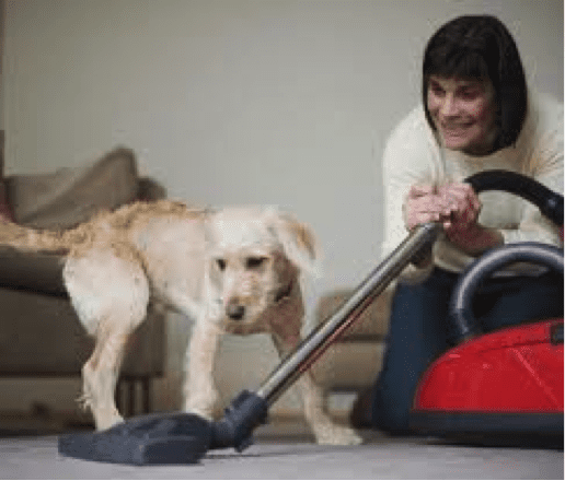 TrendMantra article_475_9 10 Things People Do That Dogs Can't Stand. Must Read For Dog Owners!! 