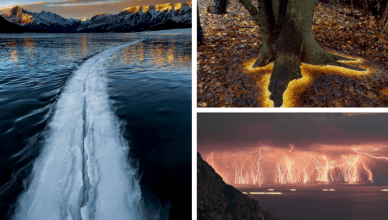 TrendMantra article_508_15_F-388x220 Terrifyingly Amazing: 12 Times Nature Showed Its Wrath! It's Angry, Really Angry 