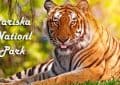 TrendMantra s3_5-120x85 A Weekend Trip To Sariska National Park - A Must Have Experience In Your Bucket List 