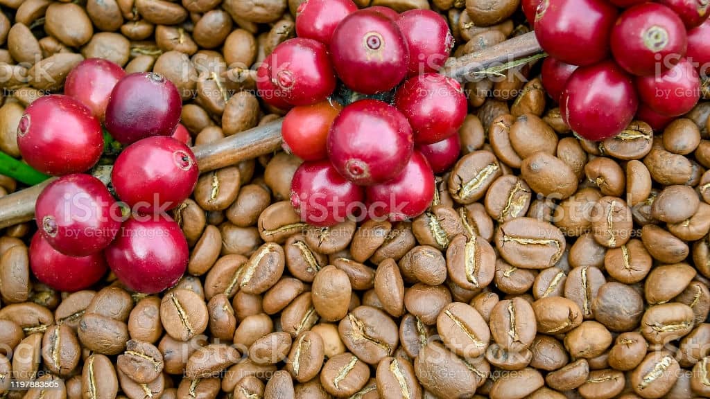 TrendMantra istockphoto-1197883505-1024x1024-1 7 Weird But Interesting Facts About Coffee We Are Sure You Didn't Know About 
