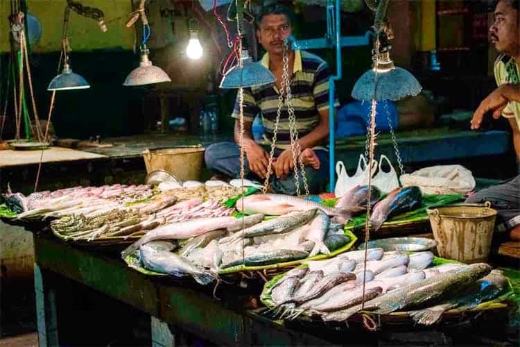Fish Market in Kolkata – A Comprehensive Guide