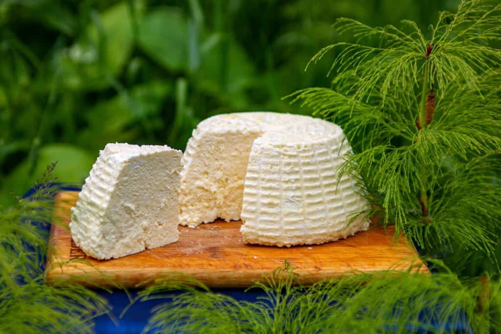 Cheese History and Trivia